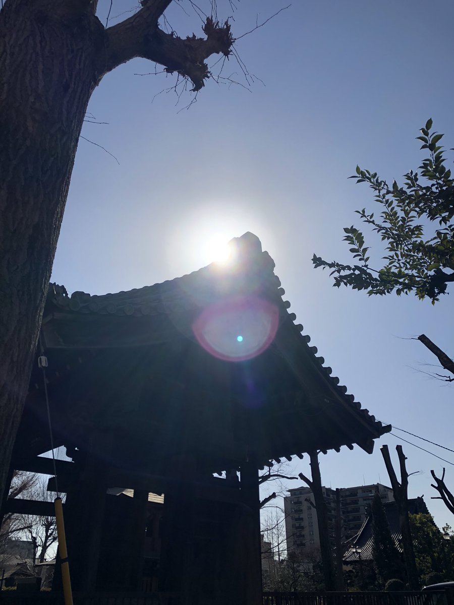 njJDY6VFpA5bBVD's tweet image. 浦和玉蔵院参拝🙏

#玉蔵院 
#イマソラ