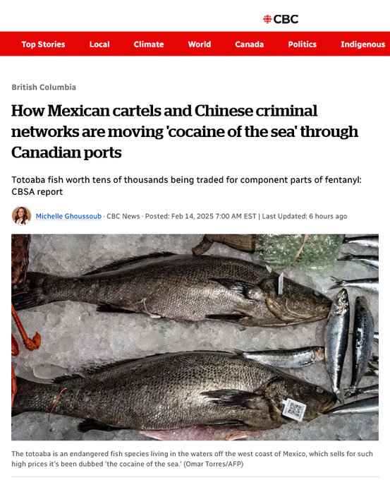 媒体曝中国犯罪网络利用加拿大港口贩毒美国