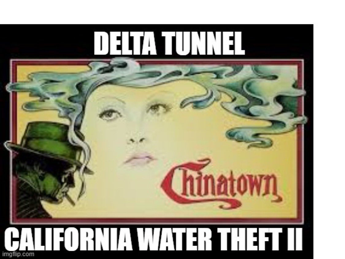 Delta United tweet media