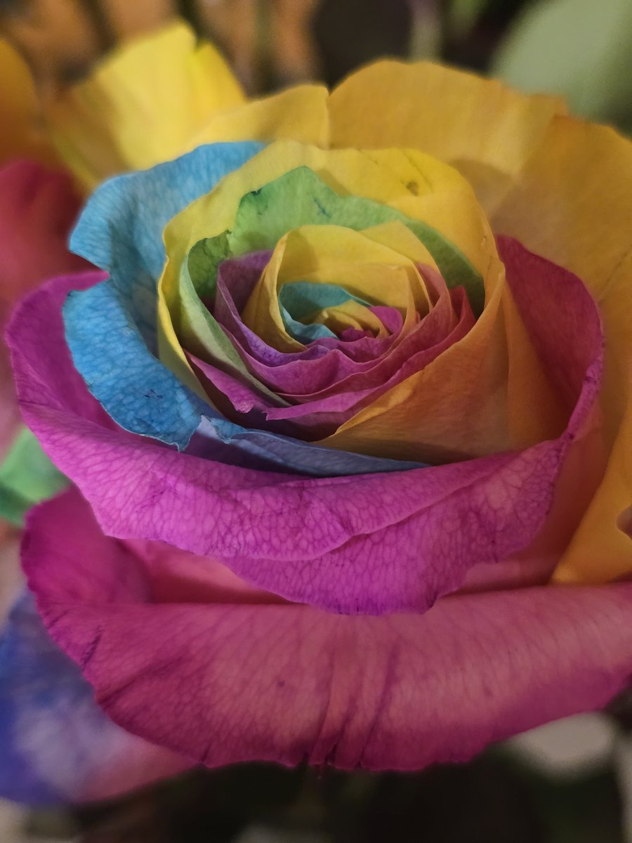 Happy Valentine's Day! ❤️💗💖