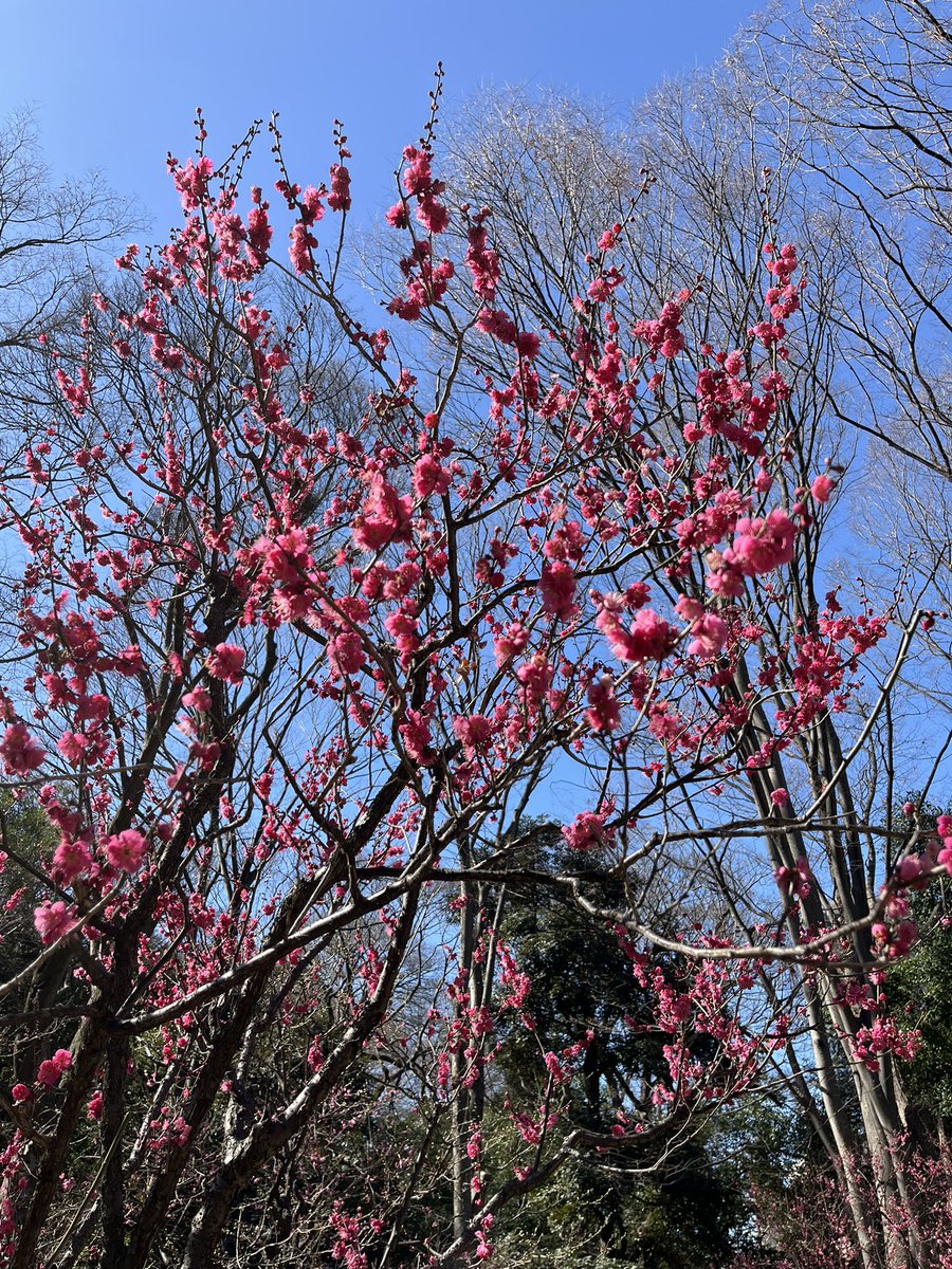 japantotheworld.com tweet media