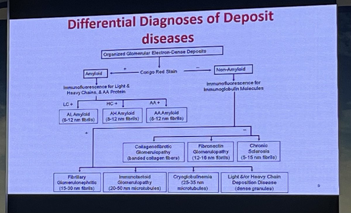 JasmineNephro's tweet image. 🔬Differential diagnosis of Deposit Disease 

By @RitambhraN at @PGINEPHRO #nephropath