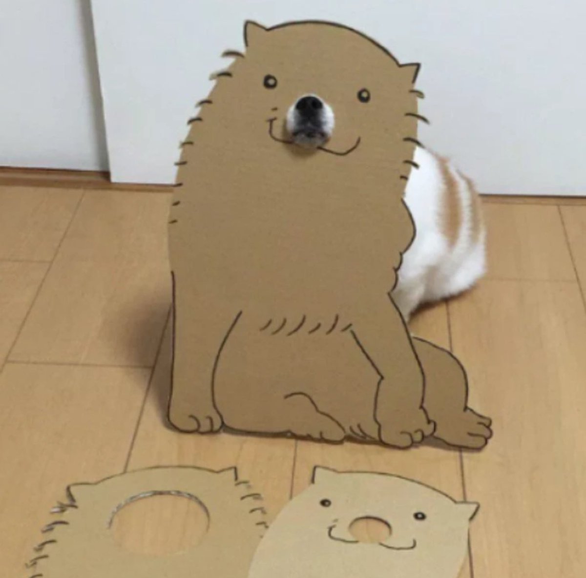 CardboardDogCTO's tweet photo. Dog and cat meta is back?

Cardboard dog.

BeQM1APUjAs3k4vbkH3A3ffAFZTU3vX6vkEvrHtCpump https://t.co/piJUoM30g1