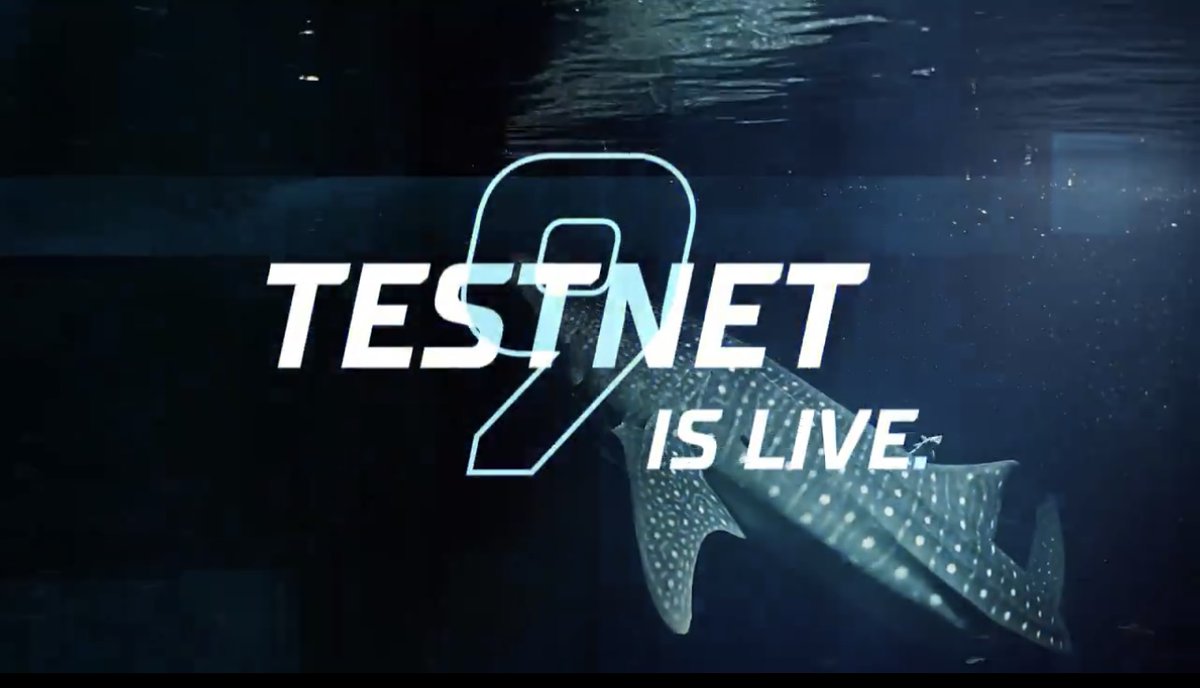 InfoSpace_OG's tweet image. Union Build Testnet 9 is Live!

This is our final chance to position for some Token Rewards on Mainnet

@union_build Genesis NFT, Whale Sharks, was minted hours ago and is selling for $1000+

Don&apos;t fade this. High Potential for Good Reward

Cost: $0
Funding: $16M

🧵🪡