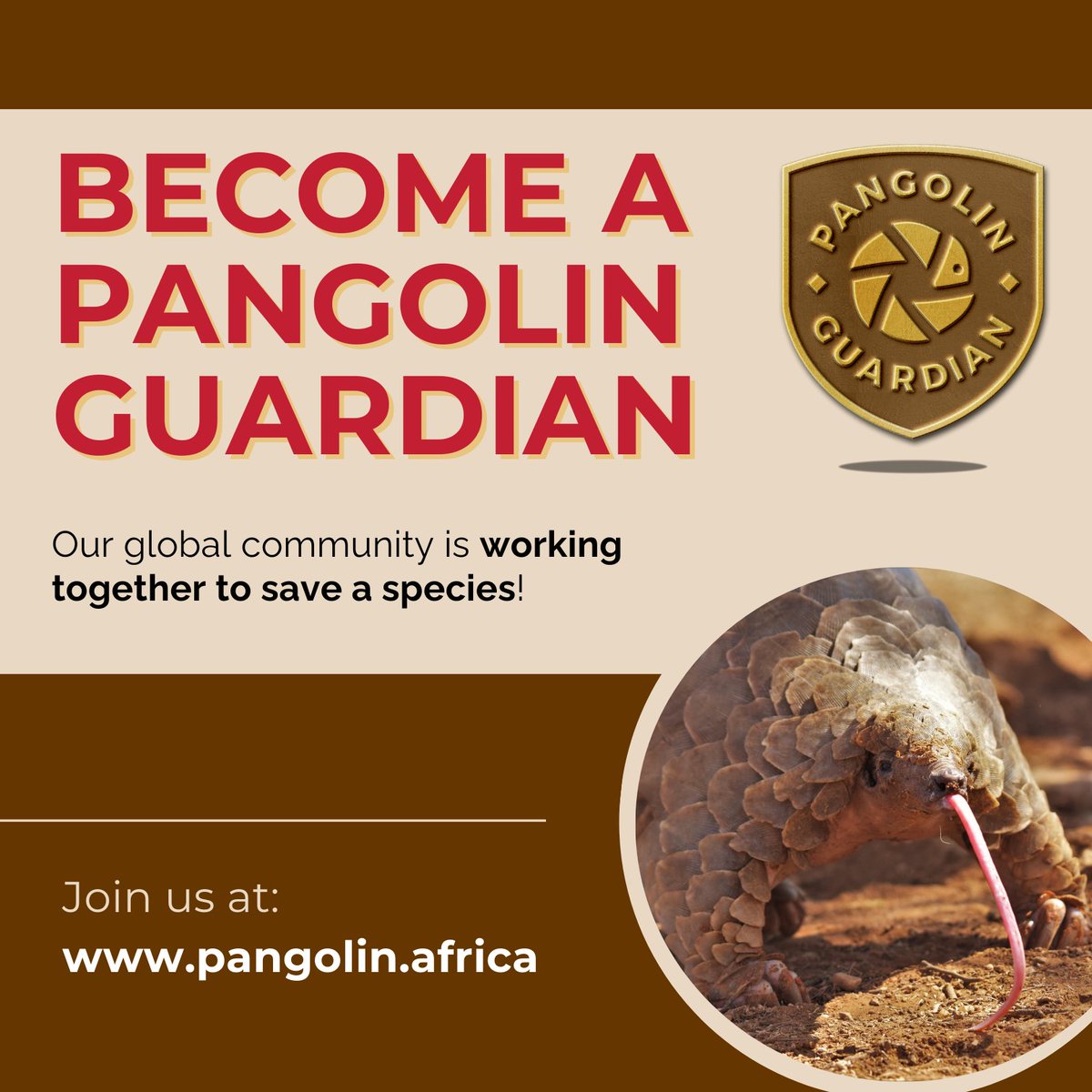 Celebrate #WorldPangolinDay with us and join team pangolin!

Sign up for our free course and become a certified Pangolin Guardian - ow.ly/nhnR50UZ8hx