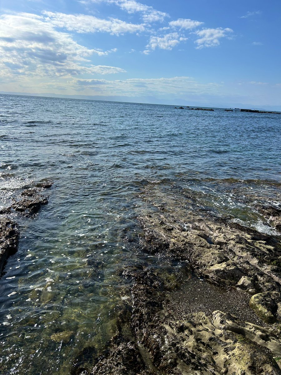 oyajipowers's tweet image. 海の中は確実に春☘️（立石海岸と久留和海岸の真ん中あたり）
#sagamibay #springhascome #海中はもう春
