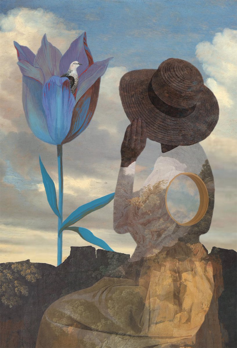 Sarah Jarrett, The Visitor