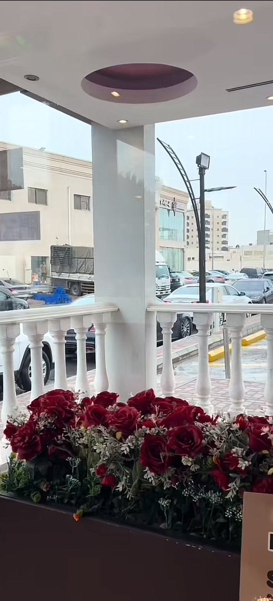 يبدو يوم السبت عاد معتذراً ✨ #صباح_الخير