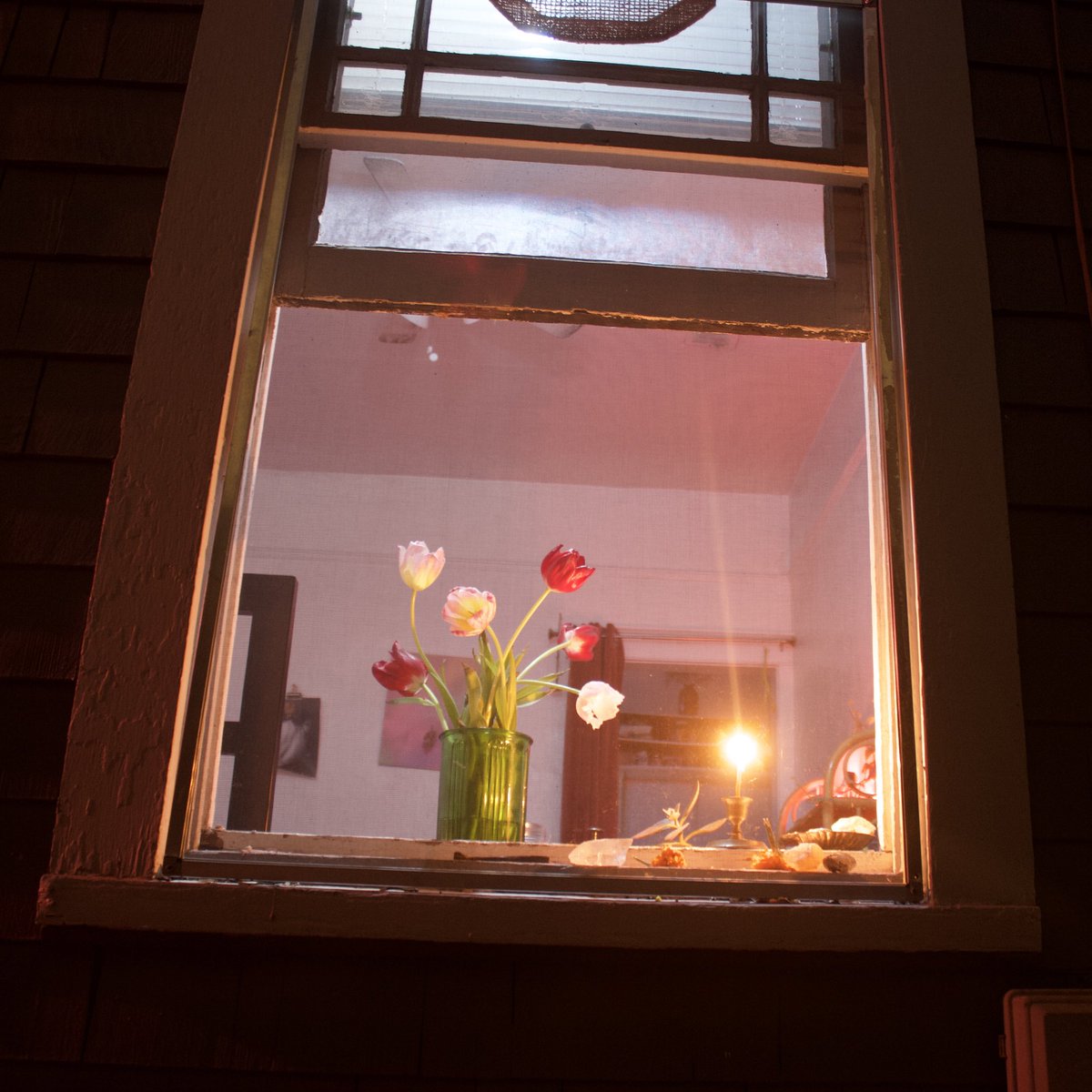 warm and inviting tweet media
