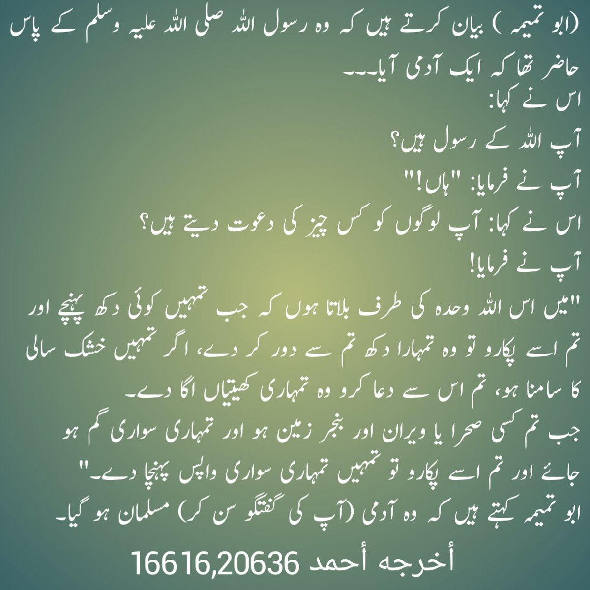 توحید کی دعوت 
افسوس کہ لوگوں نے پیارے نبی کی دعوت کو پس پشت ڈال دیا