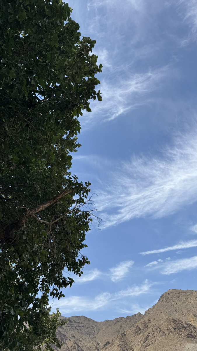 "طالما هناك شُروقٌ في كل يوم، هناك مزيدٌ من الحياة، مزيدٌ من اللطف، مزيدٌ من السعادات الغامرة والمسرات الدائمة، مزيد من كل شيء تتمناه قلوبنا"🌿..