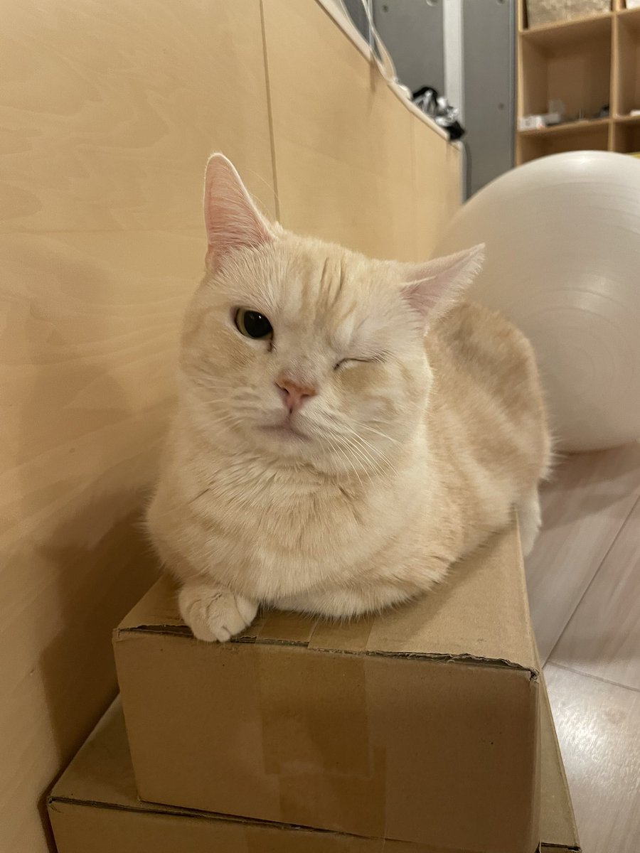 ばきゅーん( •ω-  )☆