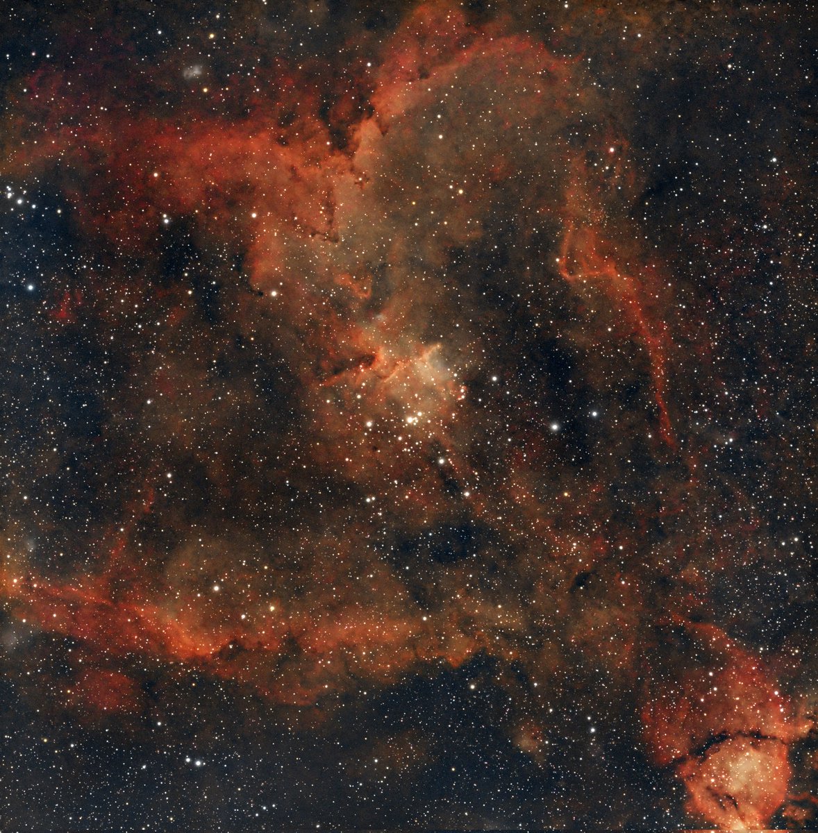 Skywatc4's tweet photo. IC 1805  Heart Nebula 
Exp 6.6 hours + dark/bias/flat 
AskarFRA400 
ZWO AM3
ZWO MC533PRO
ZWO ASI120MM
GuideSV240mm
Optolong LQuad Enhance 
SIRIL/GraExpert/PS https://t.co/syVfKi9CiV