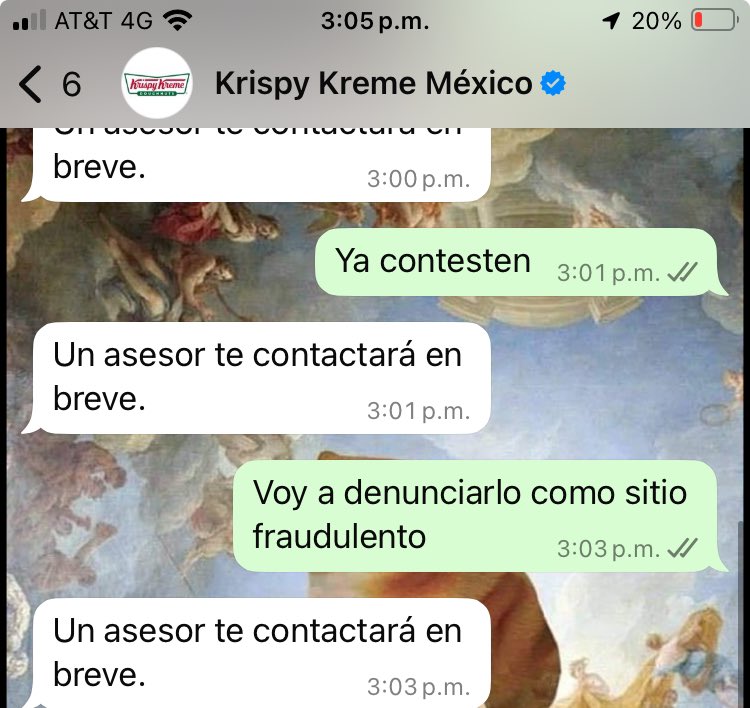 mafer zarco tweet media
