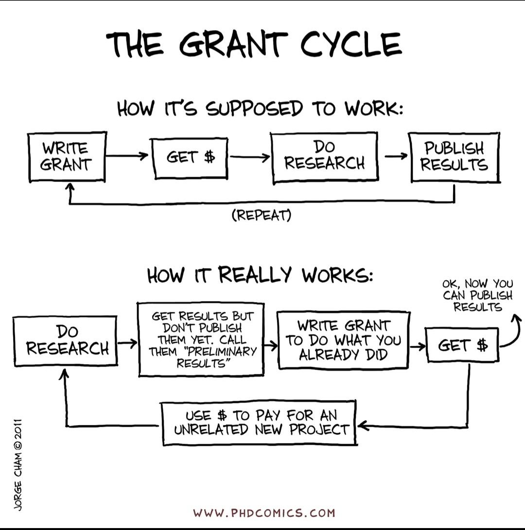 Shockingly accurate. Waiting for a grant to be approved before starting the research project is #toolittletolate. #fundamentalresearch funding is what makes it easier to act on good research opportunities.