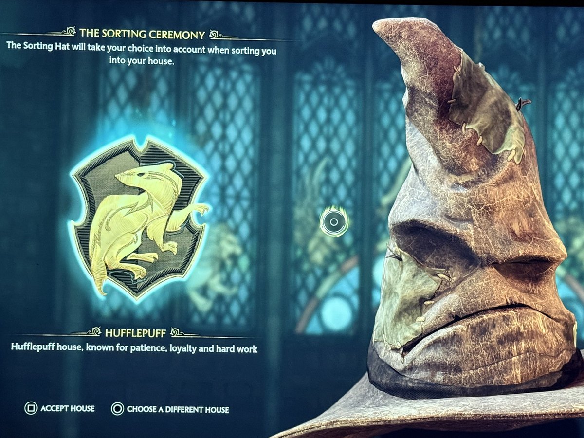 Sorting hat put me in Hufflepuff, don’t know why I’m not quite satisfied 🤔 

Let me know what you think, if you know me 😂