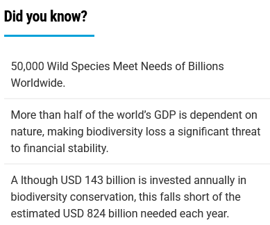amfelicite's tweet image. #worldwildlifeday, March 3

Md Rashuidul Rabby: native to India &amp;amp; Sri Lanka,this #spider is capable of leaping as high as 25 times its own size...
@UN @UNEP #unenvironmentprogramme #unep #un #unitednations #wildlife #forests #wild #animals #wildlifeday #environment #climatechange