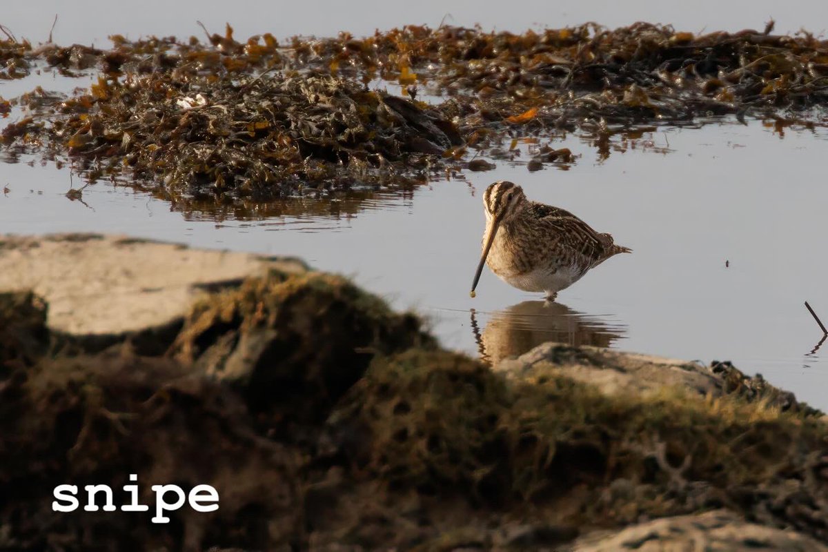 Last few before we head home tomorrow…