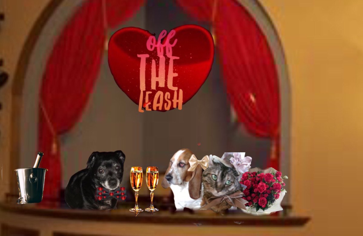 I are go sit in da box seat wiff Bella 💕💕 and Roof for da first half of da show. Love, Jesse pug sausage angel 😇 #OTLFP <a href="/basset_bella/">Angel Bella 💔🌈🐾🐶</a> <a href="/all_fur_matters/">Fruma-Ruth</a>