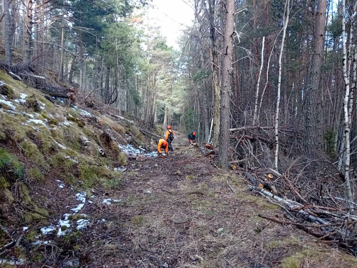 1️⃣ 🌿 Recuperem 2 camins històrics de Montesclado i Mallolís! 🚶‍♂️🏔️

Amb el Servei de Manteniment del Parc, hem desbrossat els antics camins de Montesclado i Mallolís vers la Canal i Juverri fins la seva connexió, recuperant així una ruta històrica dins el #PNAltPirineu. 🏞️

🧵👇