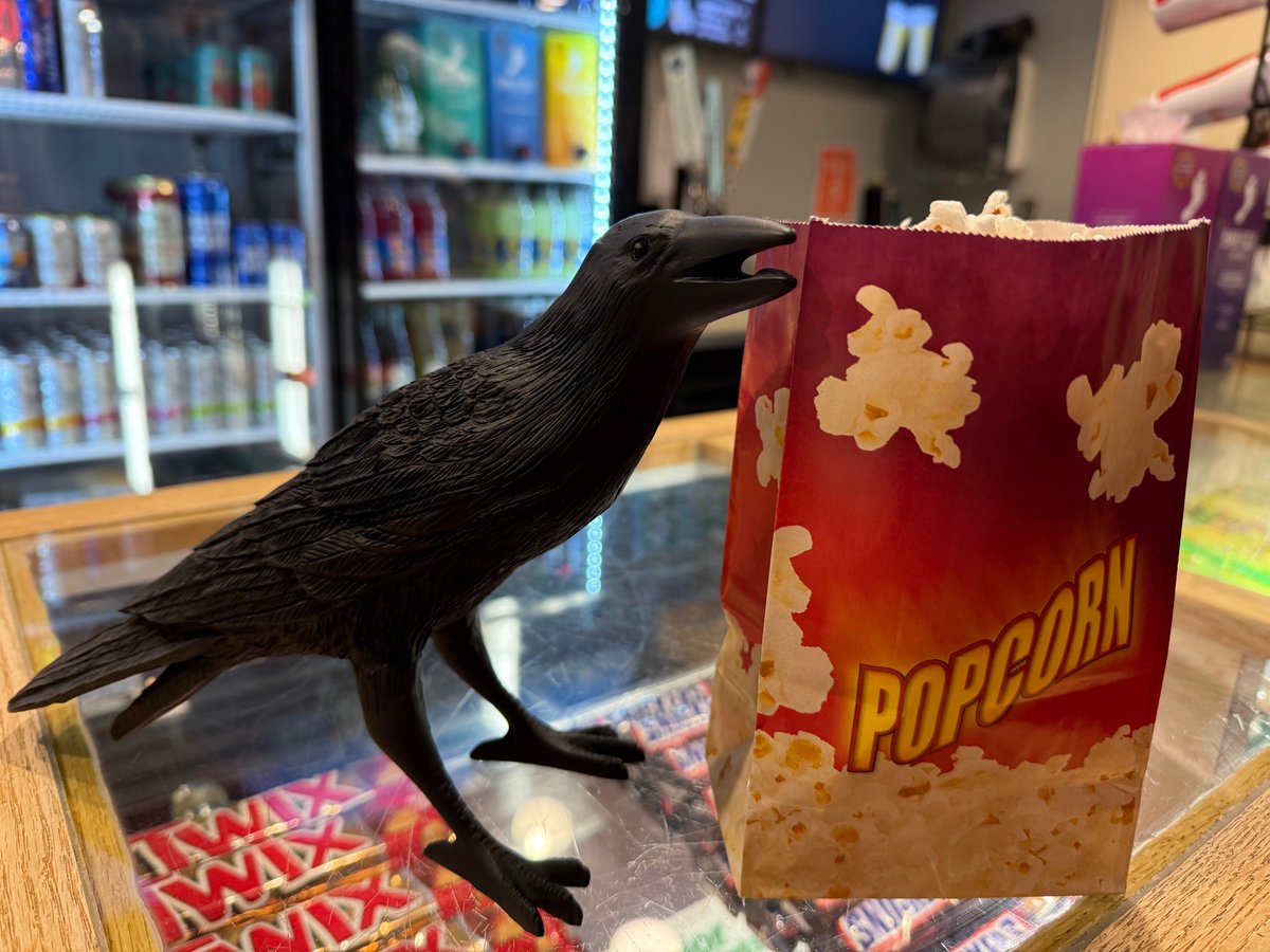 Samantha Bryant (@samanthabwriter) on Twitter photo Just hanging with the cool kids <a href="/CarolinaDurham/">Carolina Theatre</a> for <a href="/NevermoreFF/">NevermoreFilmFestival</a> today. Come talk spookystuff at my table if you come by (I'm close to the popcorn, upstairs). #writerlife #FilmFestival #horror Just hanging with the cool kids <a href="/CarolinaDurham/">Carolina Theatre</a> for <a href="/NevermoreFF/">NevermoreFilmFestival</a> today. Come talk spookystuff at my table if you come by (I'm close to the popcorn, upstairs). #writerlife #FilmFestival #horror