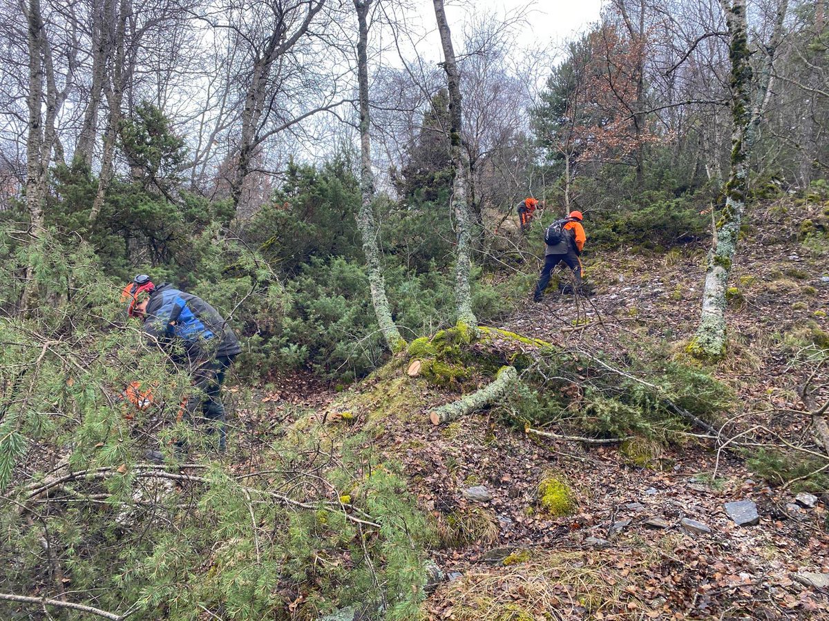Parc Natural de l'Alt Pirineu tweet media