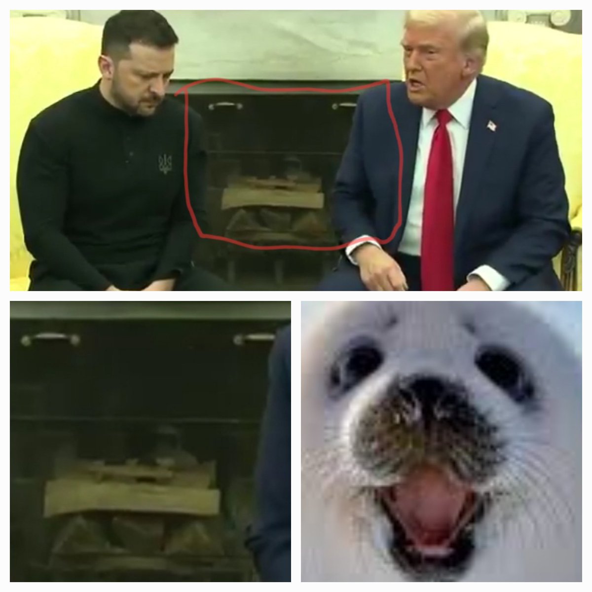 pozdone's tweet photo. seal face between Zelensky and Trump?! do you have another idea?

#trump #Zelenskyy #WhiteHouse https://t.co/lqyoh8SEaB