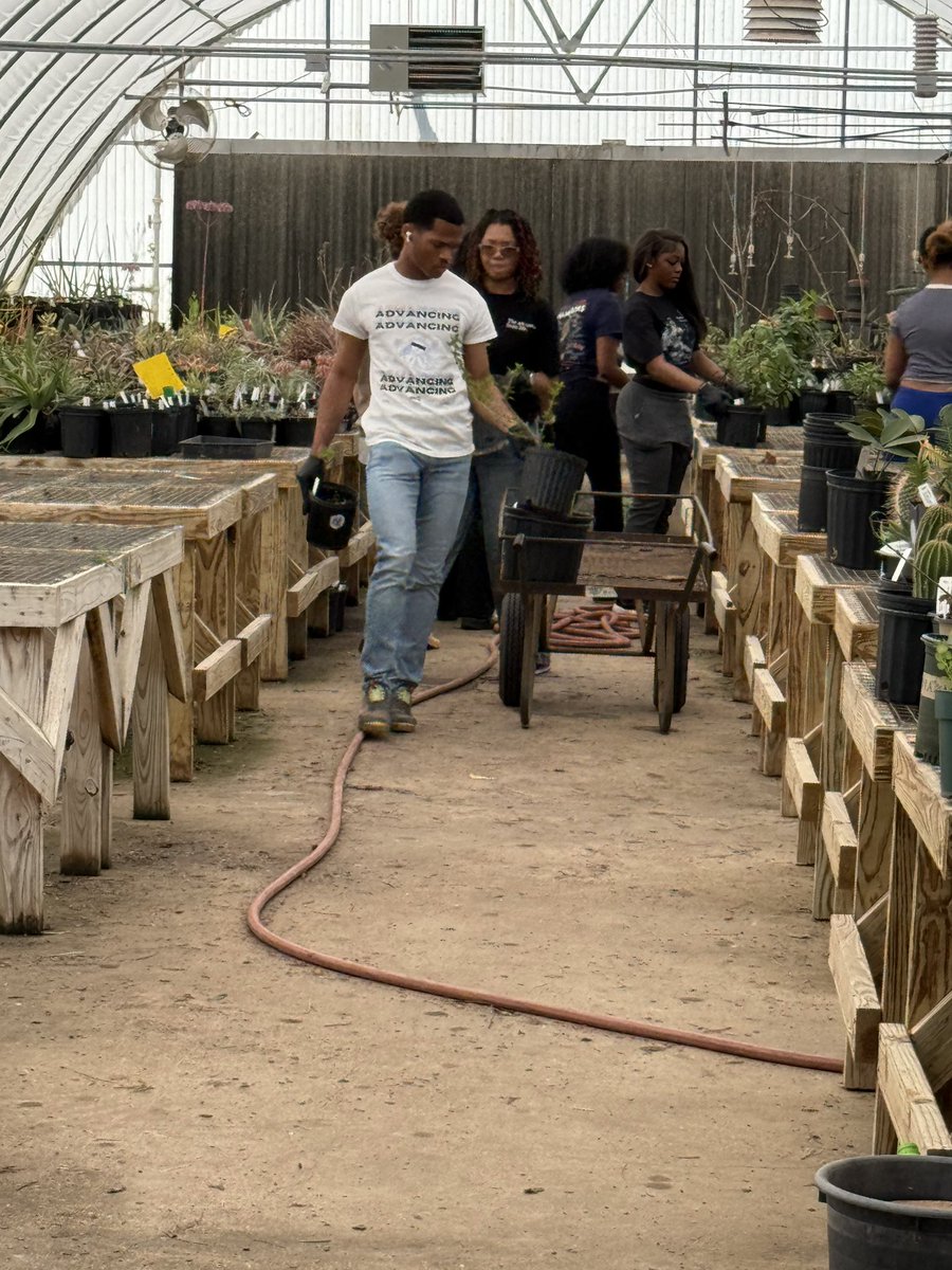 HALOPVAMU's tweet image. Recap pictures from Fairey Garden today🪴

#pvamu28 #pvamu25 #pvamu26 #pvamu27 #pvamu24 #pvamu #halopvamu #beahalo🌎