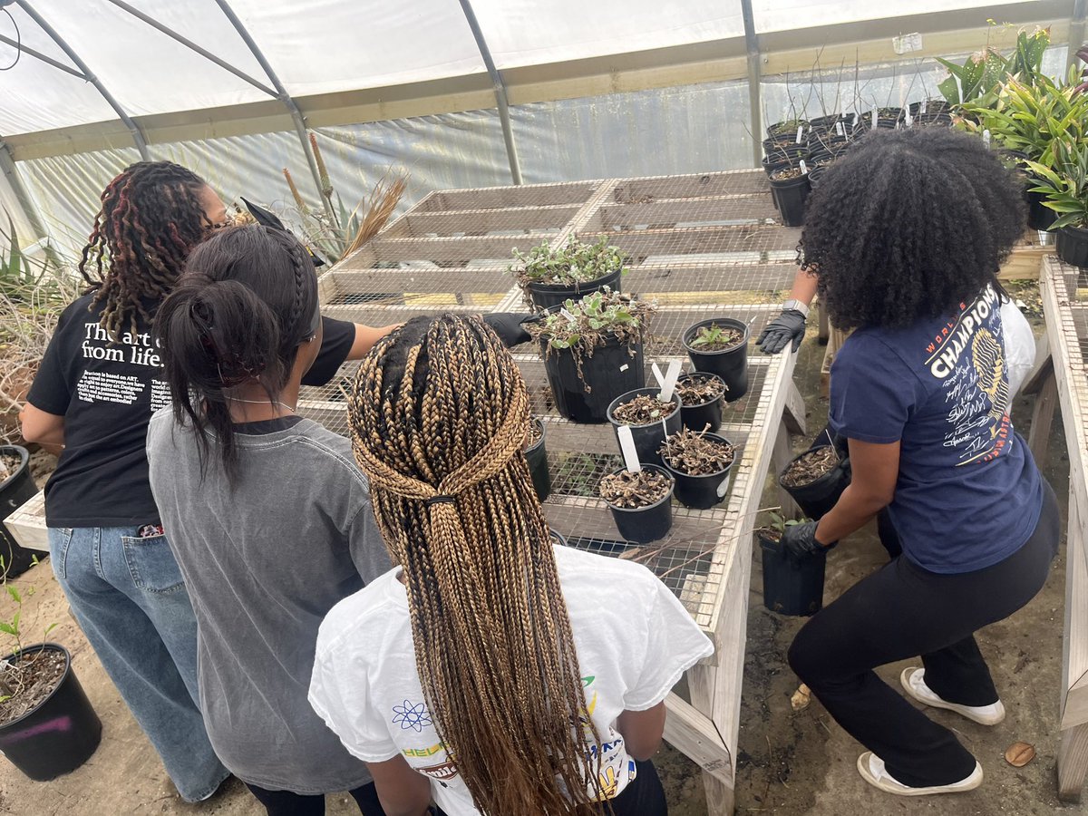 HALOPVAMU's tweet image. Recap pictures from Fairey Garden today🪴

#pvamu28 #pvamu25 #pvamu26 #pvamu27 #pvamu24 #pvamu #halopvamu #beahalo🌎