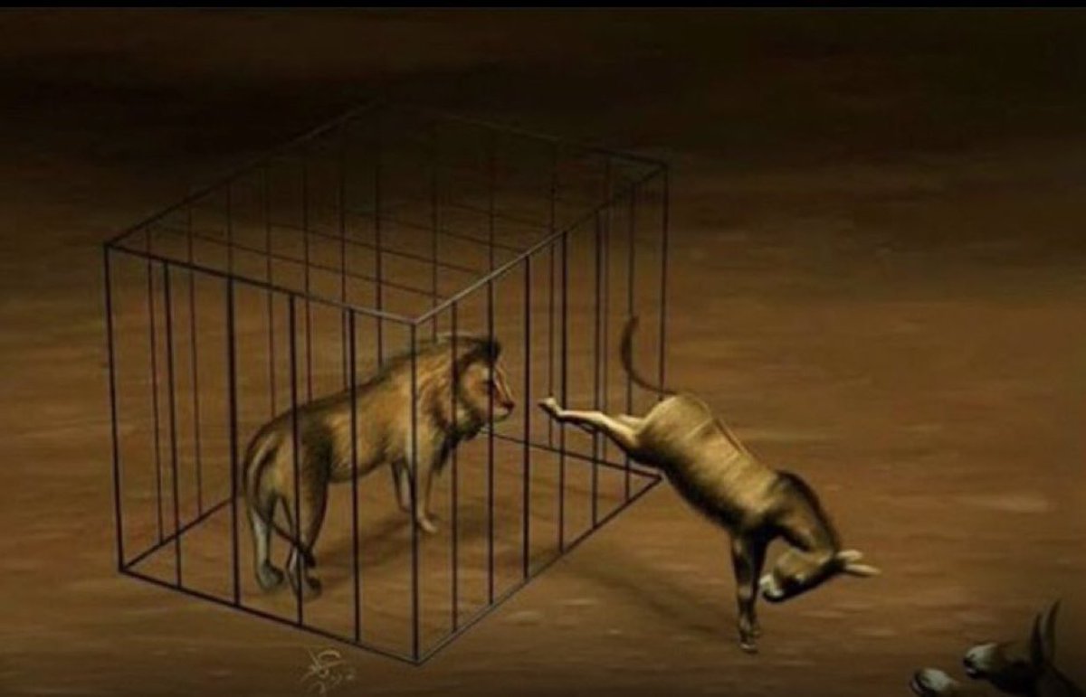 Bu fotoğrafta cesareti olan eşek değildir. Aslanın içinde bulunduğu vaziyet eşeği cesaretlendirir. KENDİNİ BU VAZİYETE DÜŞÜRME!