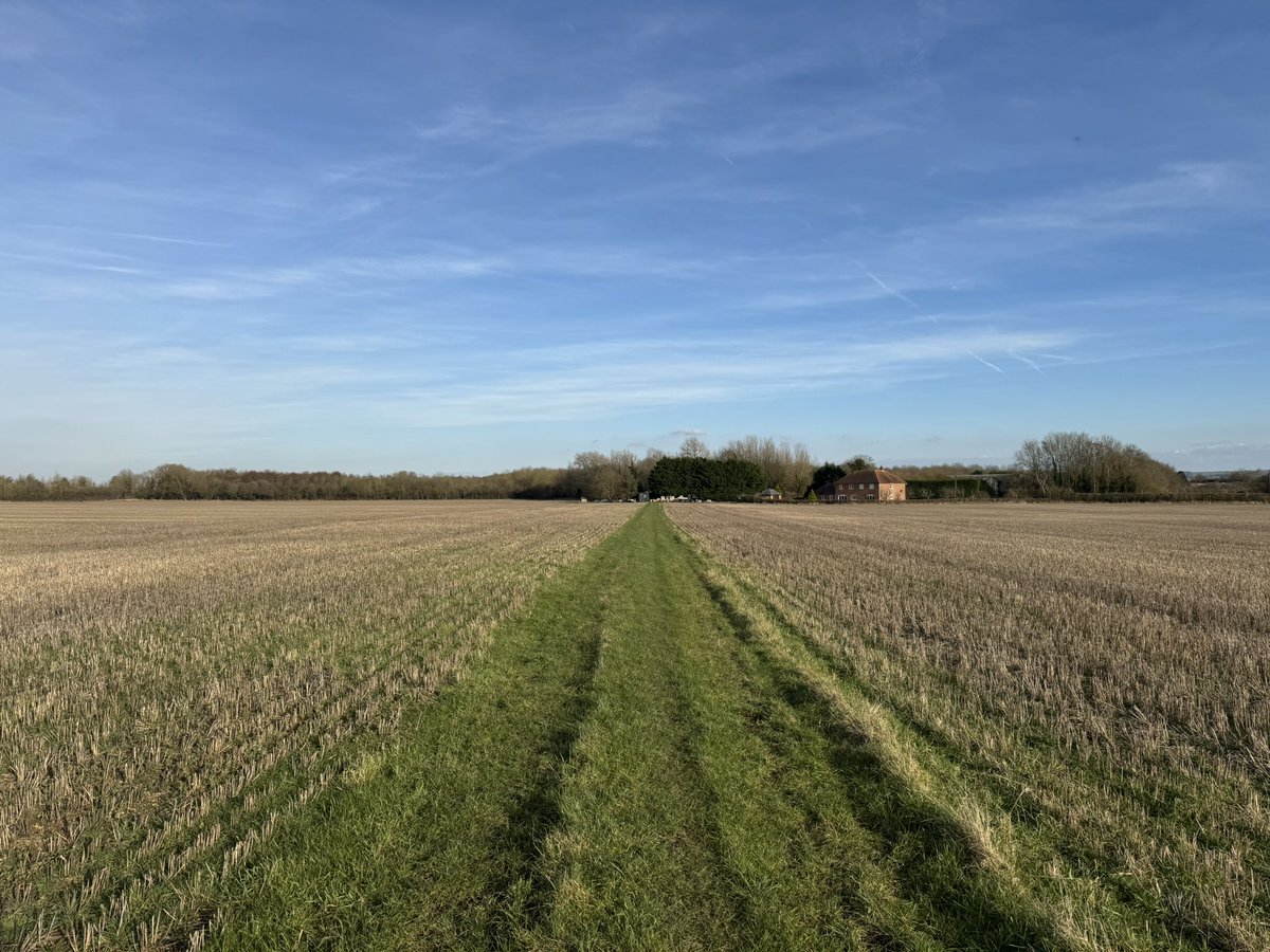 Weekend walk in the sunshine after a busy week #SpringIsComing