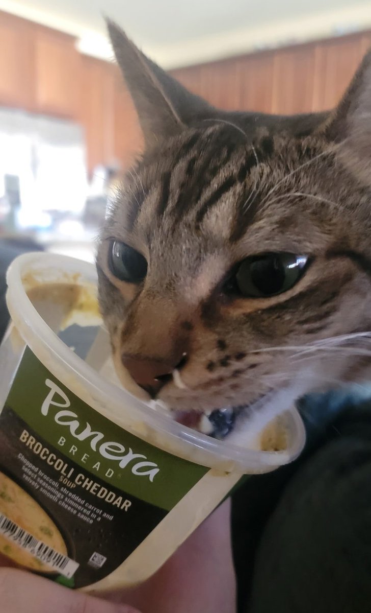 Rudedeck's tweet image. Streaming the game on @ESPNPlus and synced up with @DougPlagens and @LindsayBHockey courtesy of the NHL app this afternoon. Decker and Olaf from Eastvale (Calif) enjoying Panther hockey with @panerabread #WorldFamousFormerTwitterSegment #TimeToHunt