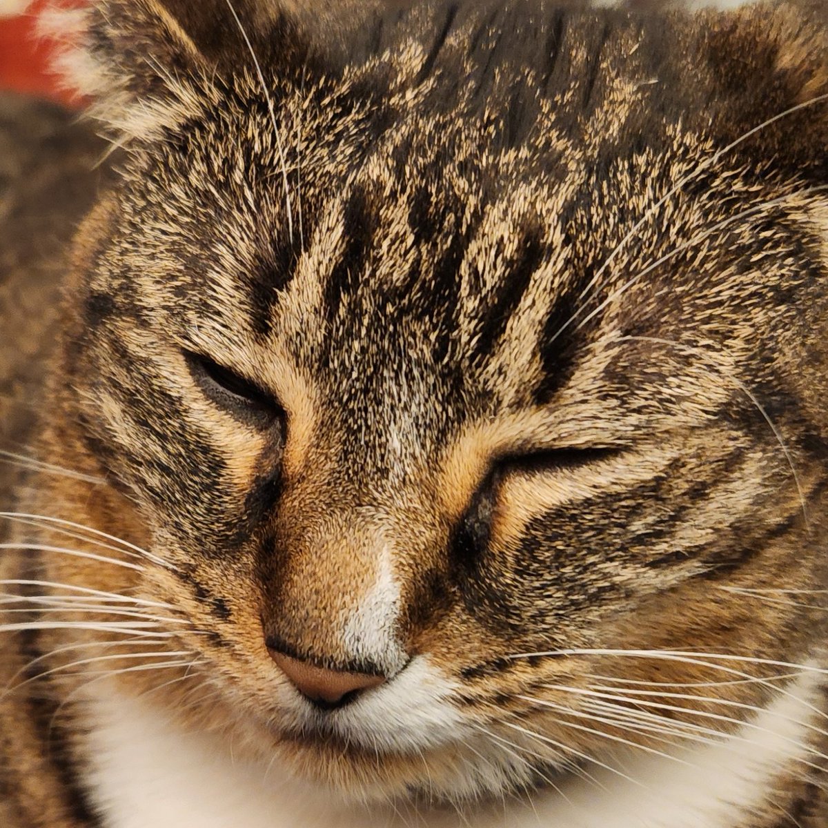 Chris Hufnagel tweet media