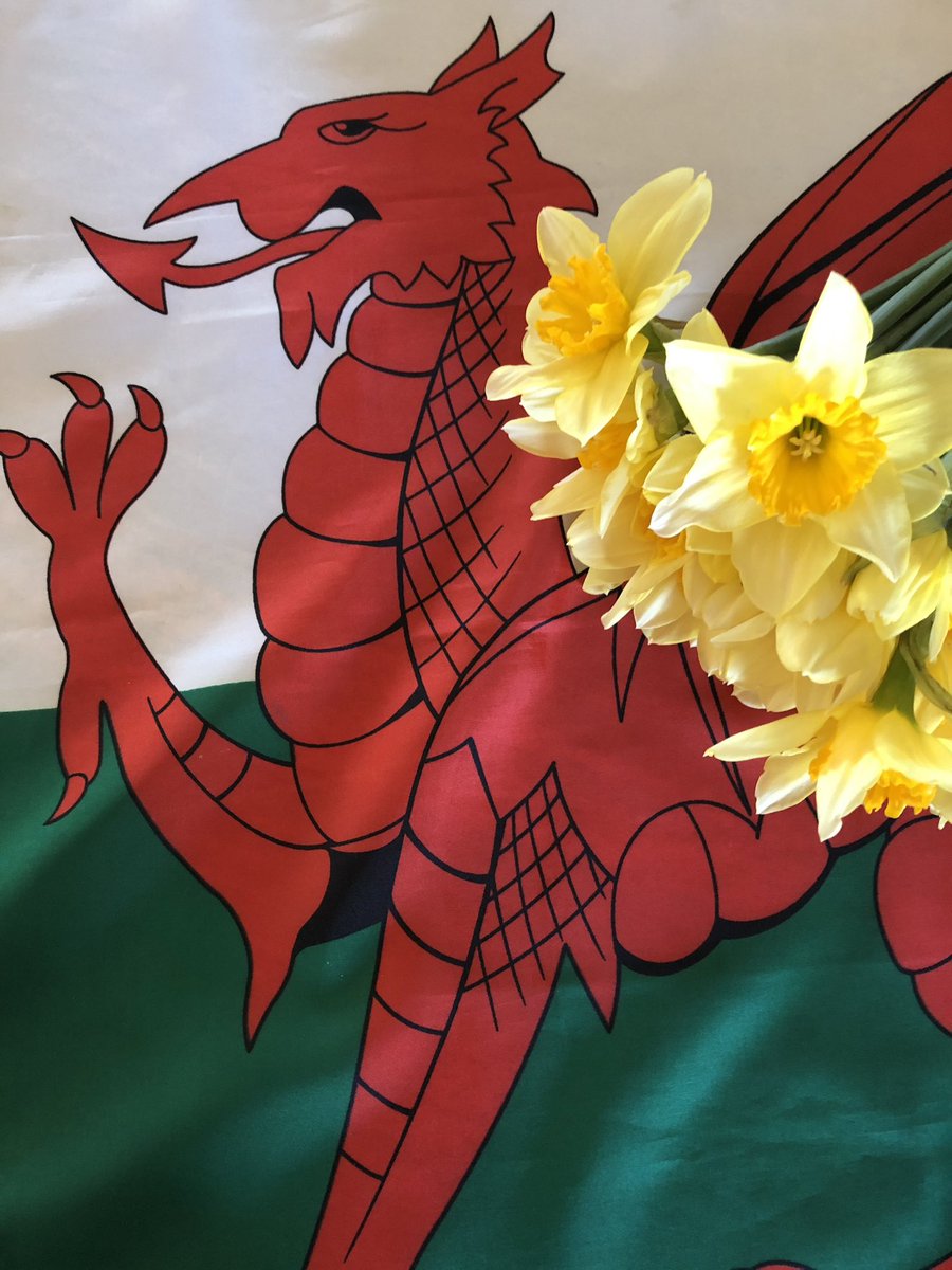 WouterPatho's tweet image. Dydd Gŵyl Dewi Hapus🏴󠁧󠁢󠁷󠁬󠁳󠁿☀️
Happy St David's Day🏴󠁧󠁢󠁷󠁬󠁳󠁿☀️