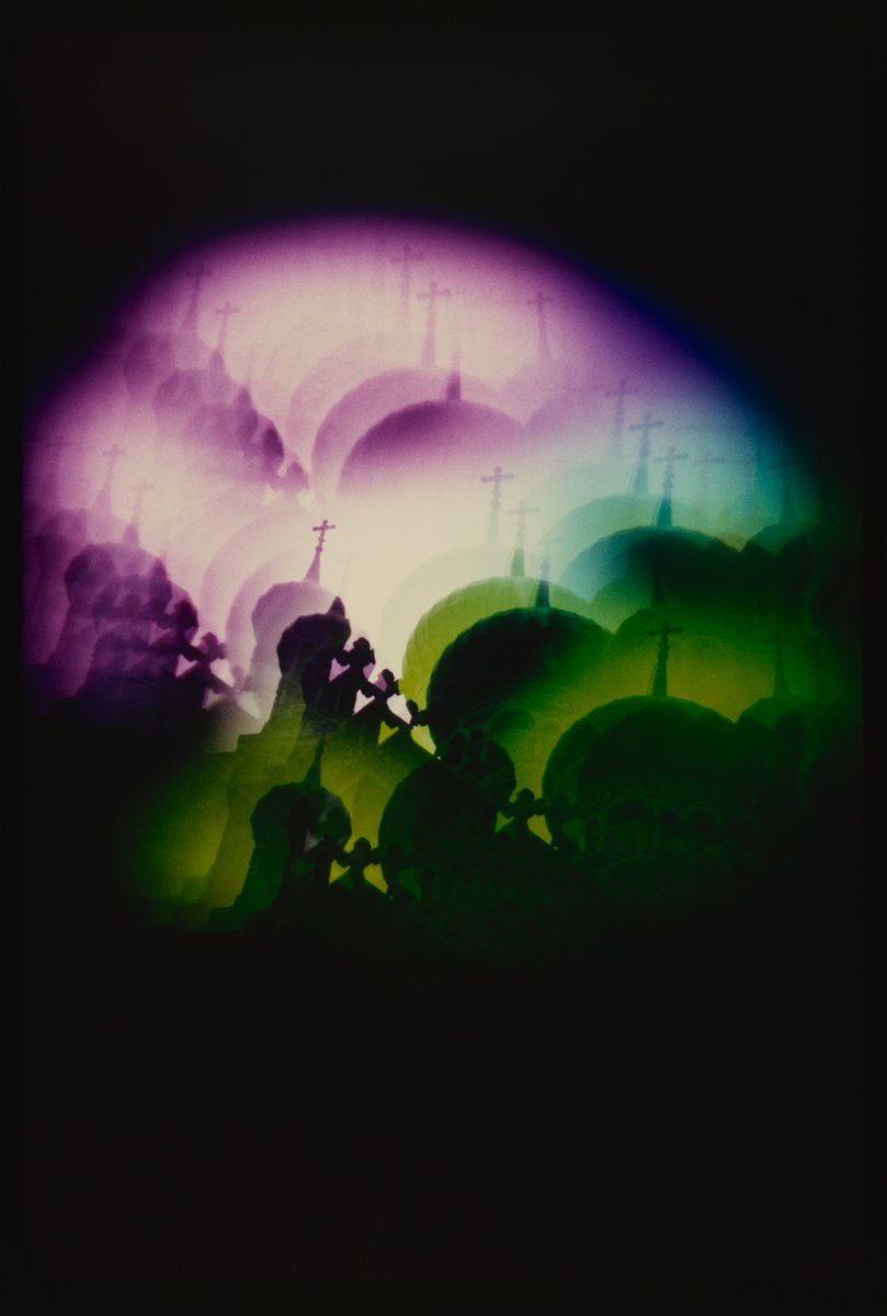 The Digital Archive tweet media