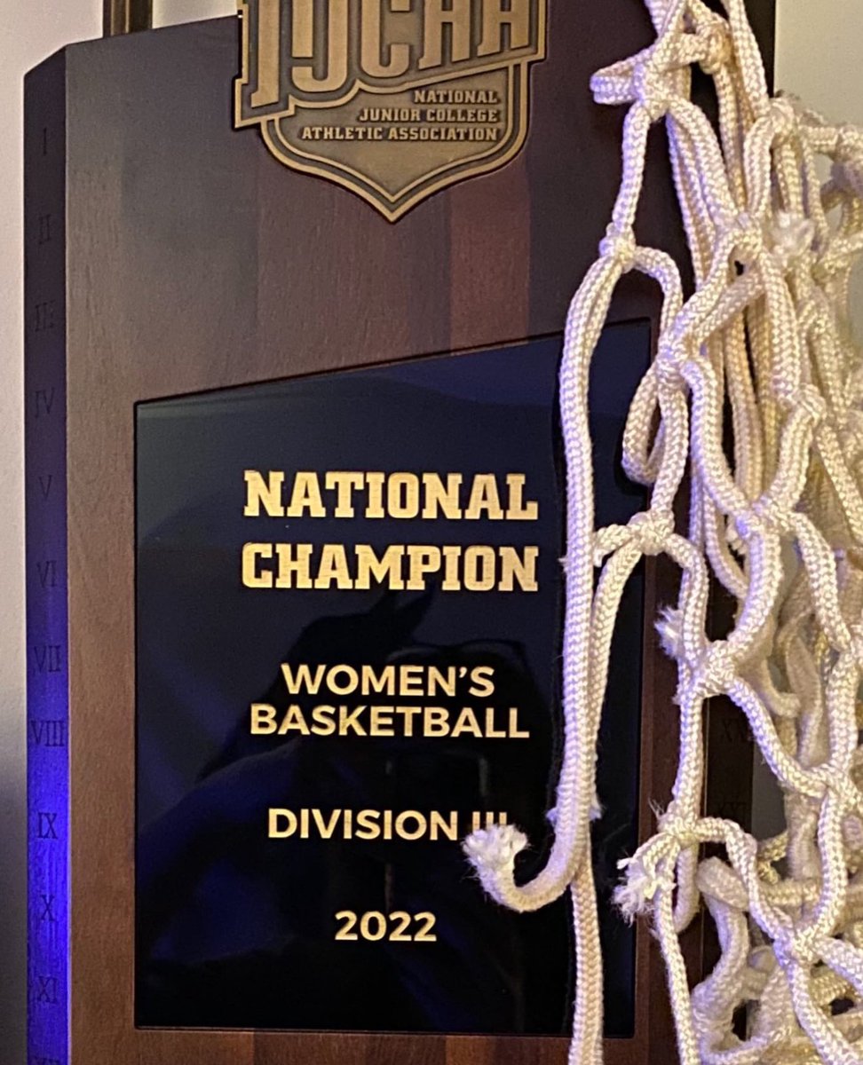 Grace Toth tweet media