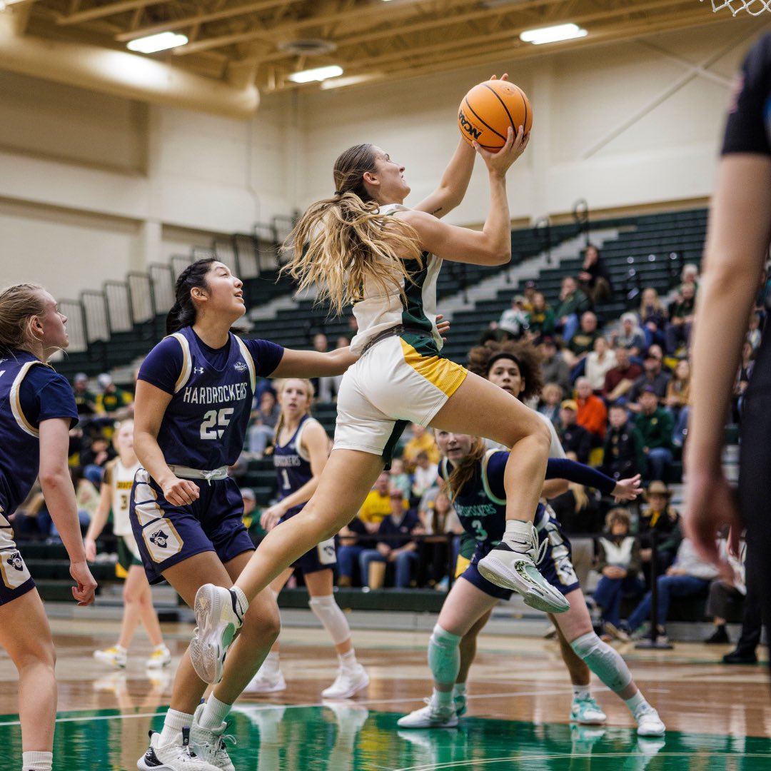 Black Hills State WBB tweet media