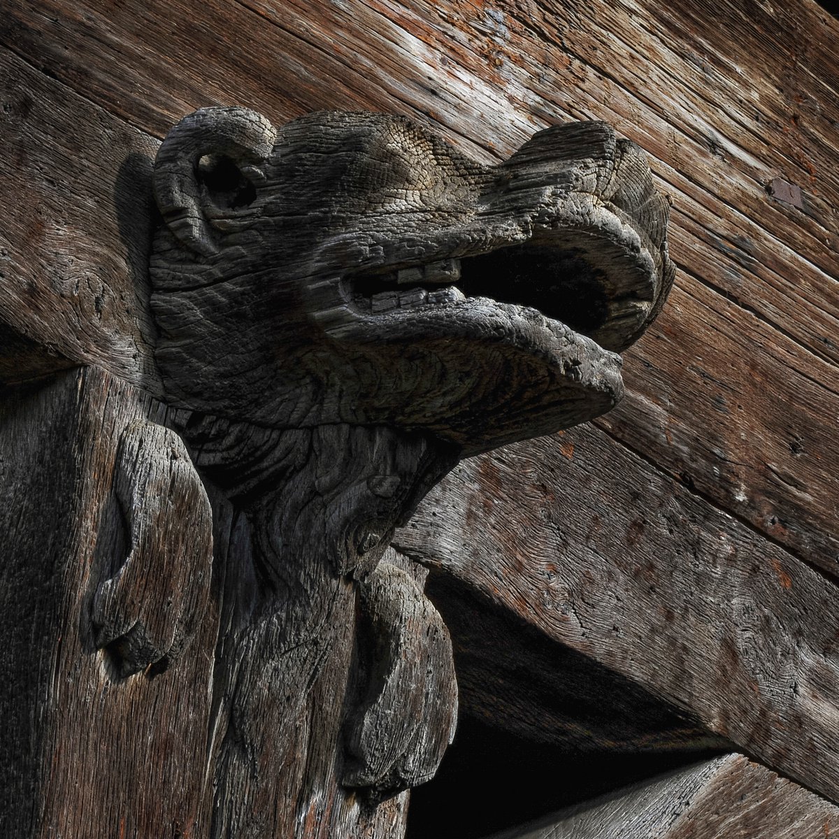 TerenceKerr5's tweet photo. #Mirepoix #France #Medieval

Carved in wood on late 13th-century timber-framed house in Mirepoix, Ariège, France: man baring teeth in gurning toothy grin; and head of snarling animal.

https://t.co/HsbGfW0sXm https://t.co/u0cUHPDVFa