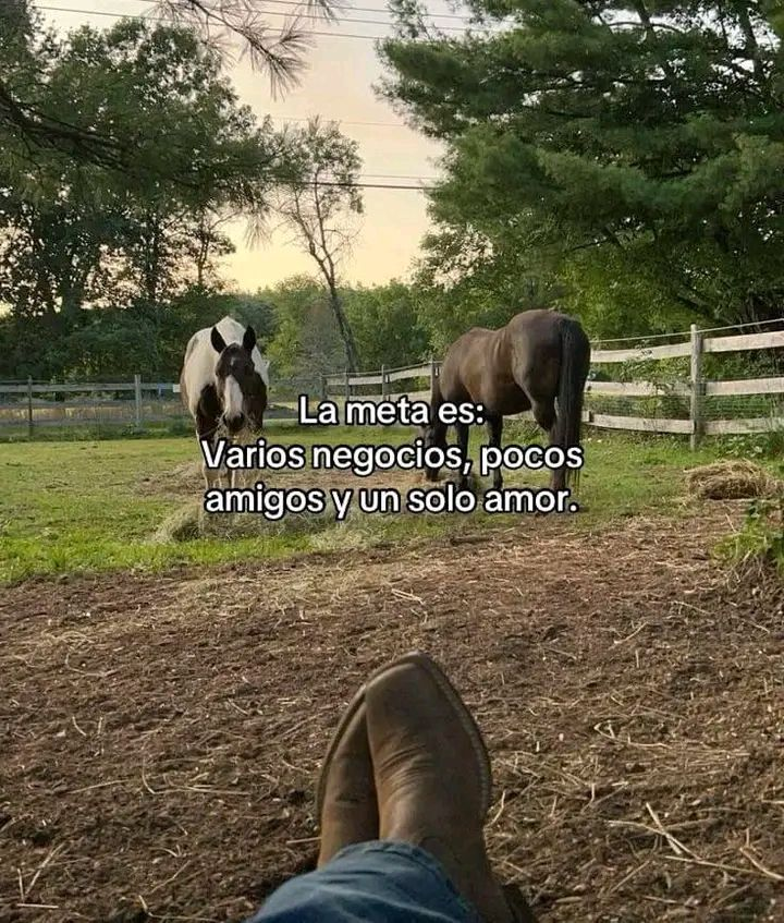 BANDIDOS (@bandidosfrasess) on Twitter photo 