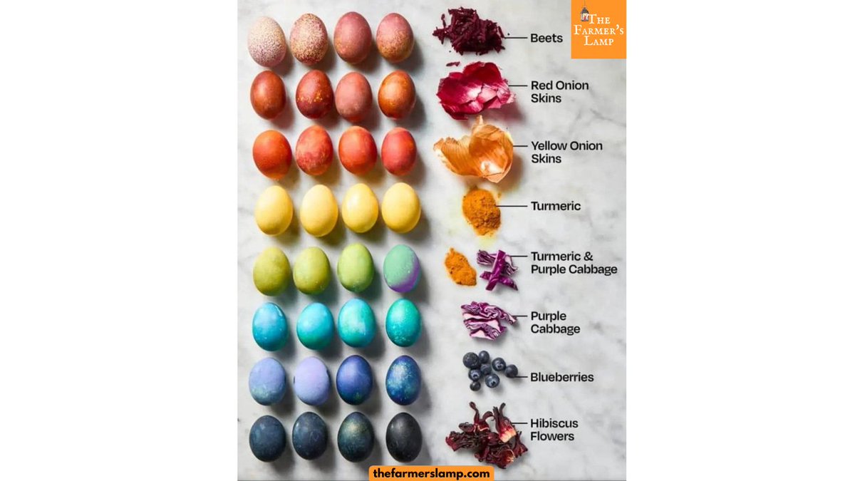 🌼🐰 Easter is just around the corner! Let’s celebrate with vibrant colors that benefit you and your family's health! This year, skip the chemicals and choose natural dyes for your eggs and decorations. Share your colorful creations with us! 💖 #Easter #NaturalDyes