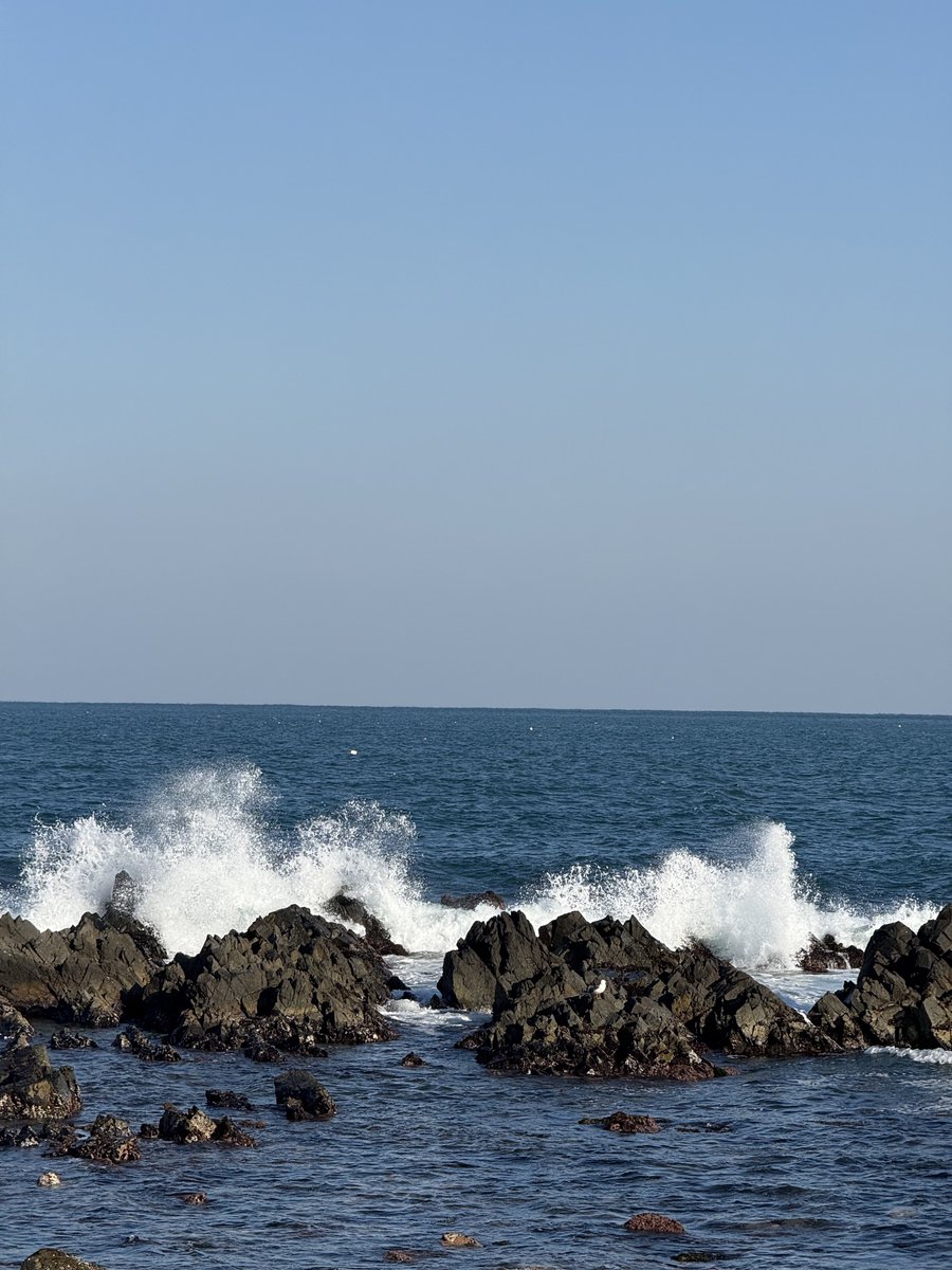 사와ჱ̒ ｰ̀֊ｰ́ ) tweet media