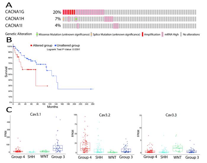 Dube et al. <a href="/UvaDOM/">UVA Department of Medicine</a> showed that T-type Calcium channels are upregulated in medulloblastoma and linked to a worse prognosis. Targeting these channels with mibefradil inhibited tumor growth and improved survival in preclinical models.#JNO

Read more:link.springer.com/article/10.100…