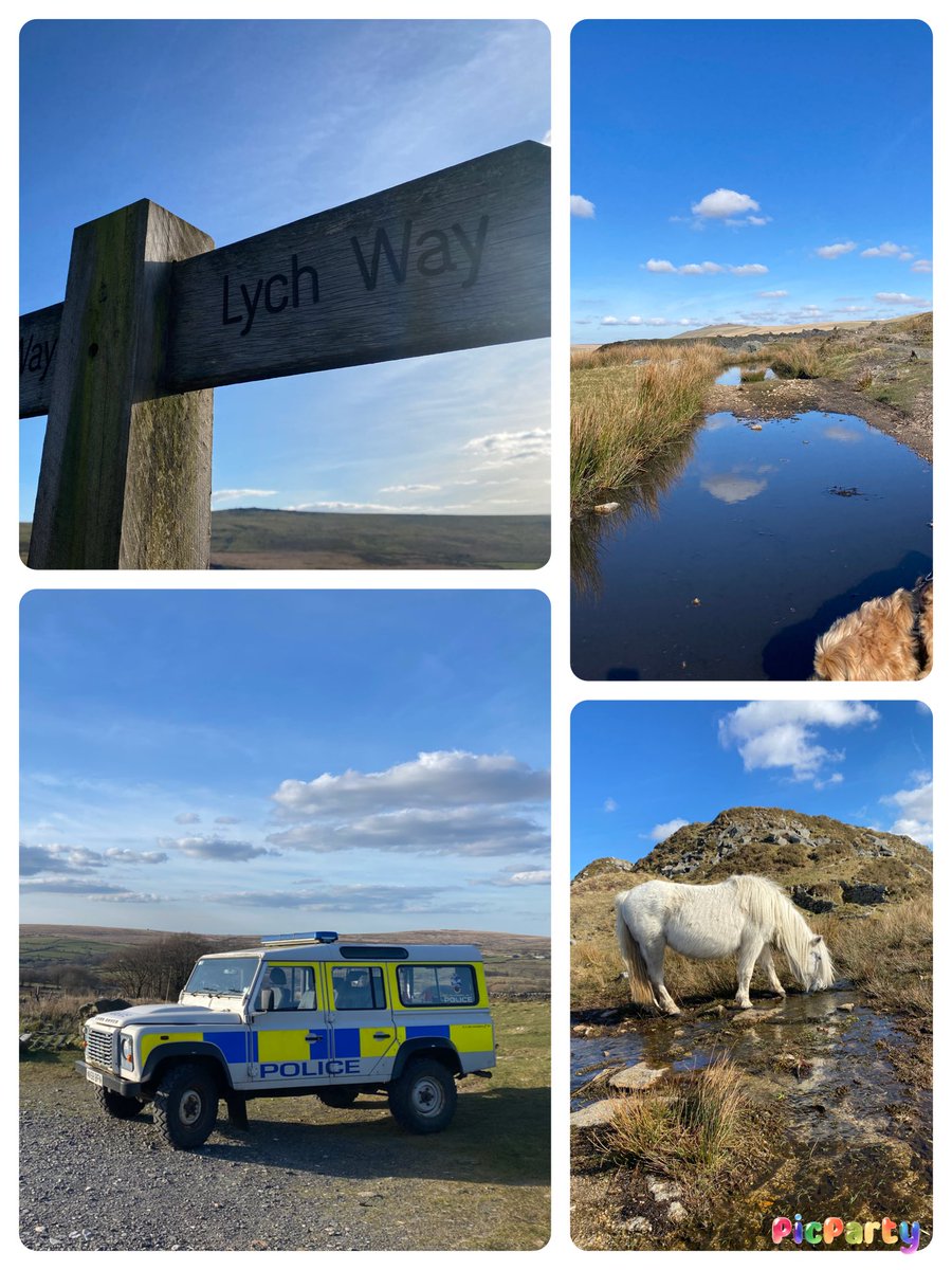 PCSO Debbie Hollinson (@pcso30747) on Twitter photo Half way through my late shift. It’s been an amazing day. Lots of horse riders, dog owners and <a href="/DofE/">The Duke of Edinburgh’s Award</a> walkers are out. The perfect day on <a href="/dartmoornpa/">Dartmoor National Park</a>
<a href="/TavistockPolice/">Tavistock Police</a> <a href="/NWDevonPolice/">North and West Devon Police</a> <a href="/ps_7003/">PS 7003 Ottley</a> <a href="/DC_Police/">Devon & Cornwall Police</a> Half way through my late shift. It’s been an amazing day. Lots of horse riders, dog owners and <a href="/DofE/">The Duke of Edinburgh’s Award</a> walkers are out. The perfect day on <a href="/dartmoornpa/">Dartmoor National Park</a>
<a href="/TavistockPolice/">Tavistock Police</a> <a href="/NWDevonPolice/">North and West Devon Police</a> <a href="/ps_7003/">PS 7003 Ottley</a> <a href="/DC_Police/">Devon & Cornwall Police</a>