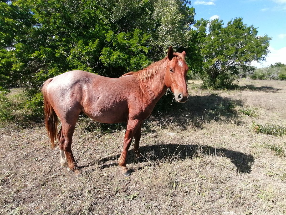 Marco Morales Jimenez (@marcomoralesji2) on Twitter photo 