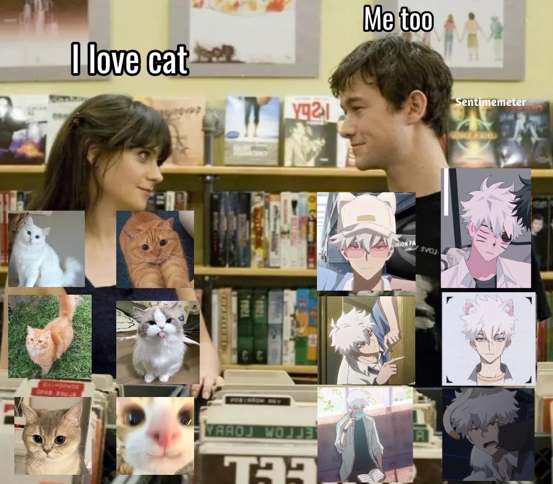 wifeluguang's tweet image. cat!guang loml