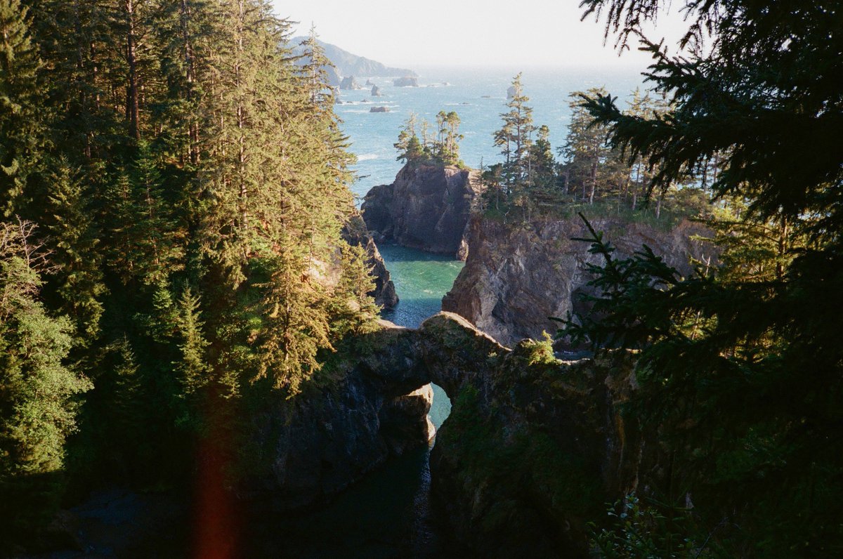 Oregon on 35mm film 🎞️