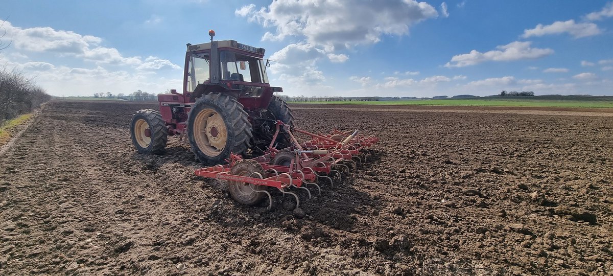 bubu1664's tweet photo. 😍🤩🥰 10ha de fait
La suite plus tard, on prépare pour 🌻🌽 merci le vent et argilo calcaire
#Agriculture #FrAgTw #semis2025 #ihforever #tournesol #CornLovers #terresinnovia #TerresOléoPro #agpm #vibro https://t.co/t7ayZOBih3