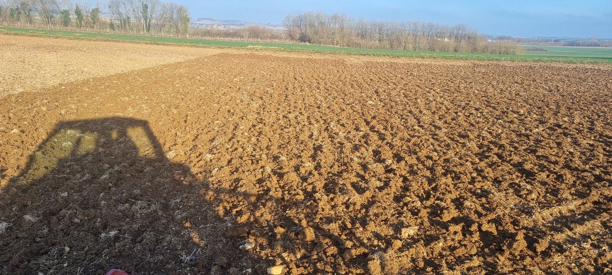 bubu1664's tweet photo. 😍🤩🥰 10ha de fait
La suite plus tard, on prépare pour 🌻🌽 merci le vent et argilo calcaire
#Agriculture #FrAgTw #semis2025 #ihforever #tournesol #CornLovers #terresinnovia #TerresOléoPro #agpm #vibro https://t.co/t7ayZOBih3