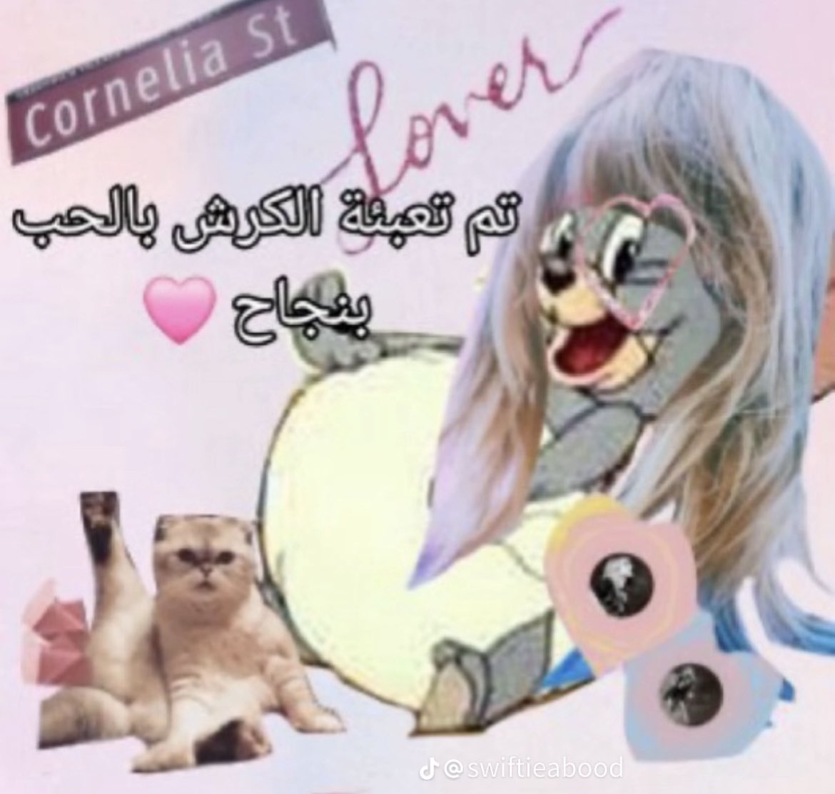 Purrr (@ppuuuurrrr) on Twitter photo 