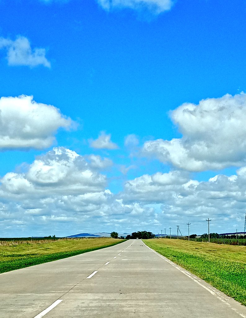 𝘔𝘢. 𝘝𝘪𝘳𝘨𝘪𝘯𝘪𝘢 𝘓𝘢𝘨𝘰𝘴 tweet media